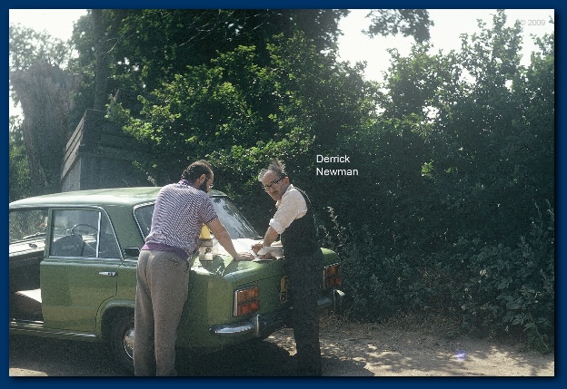 600x404 pixels (147K)